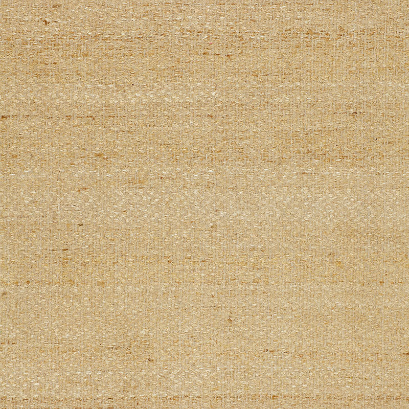 Vasur Silk Matka fabric in ivory color - pattern number 51791 - by Schumacher in the Au Naturel collection
