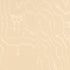 Aria Moire fabric in vanilla color - pattern number 51914 - by Schumacher in the Opulent Textures collection