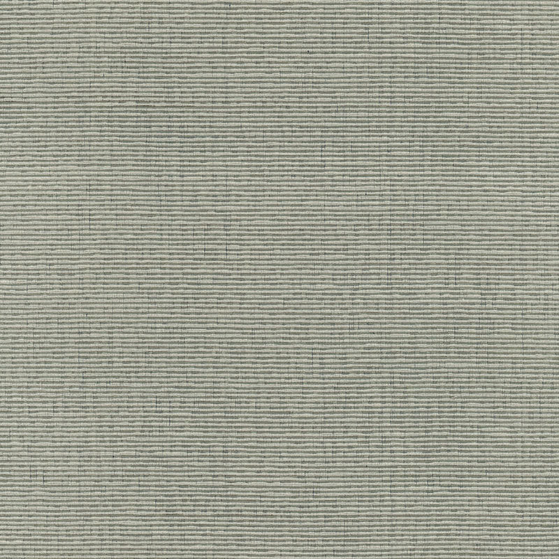 Delacroix Silk Ottoman fabric in nickel color - pattern number 54965 - by Schumacher in the Understated Luxury collection
