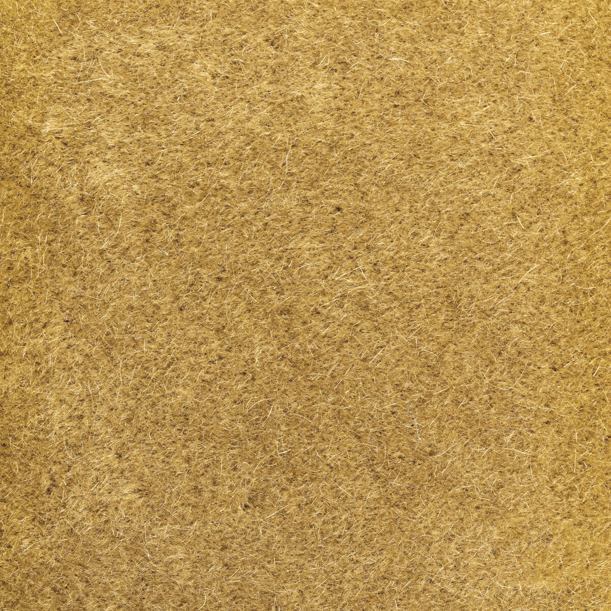Versa fabric in honey color - pattern number 6021102.1614.0 - by Donghia in the Donghia I collection