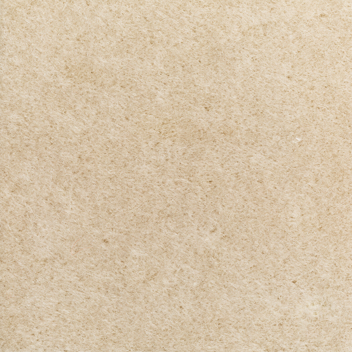 Versa fabric in conch color - pattern number 6021102.1617.0 - by Donghia in the Donghia I collection