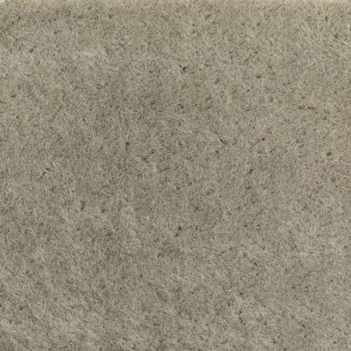 Versa fabric in quail color - pattern number 6021102.1621.0 - by Donghia in the Donghia I collection