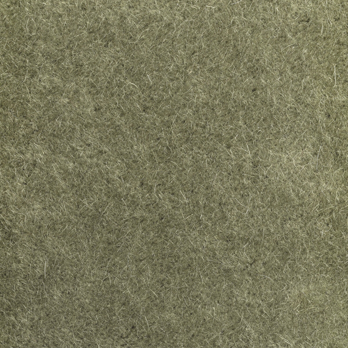 Versa fabric in grove color - pattern number 6021102.311.0 - by Donghia in the Donghia I collection