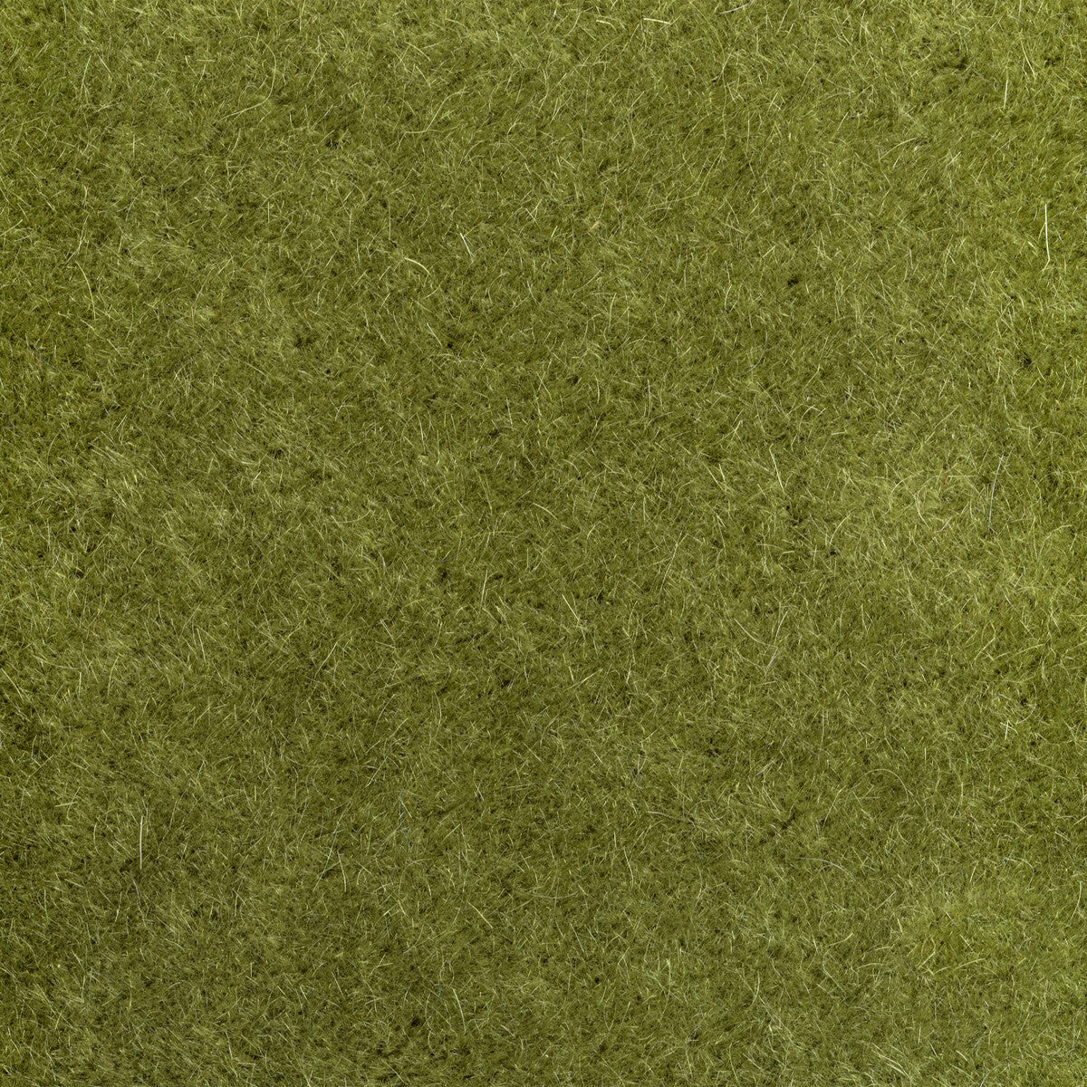 Versa fabric in artichoke color - pattern number 6021102.34.0 - by Donghia in the Donghia I collection