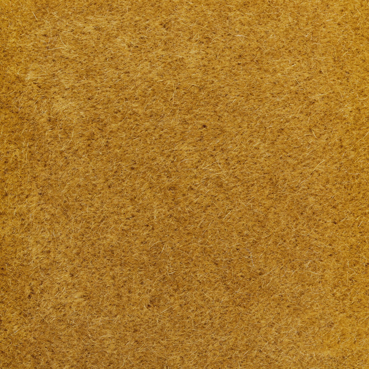Versa fabric in curry color - pattern number 6021102.412.0 - by Donghia in the Donghia I collection
