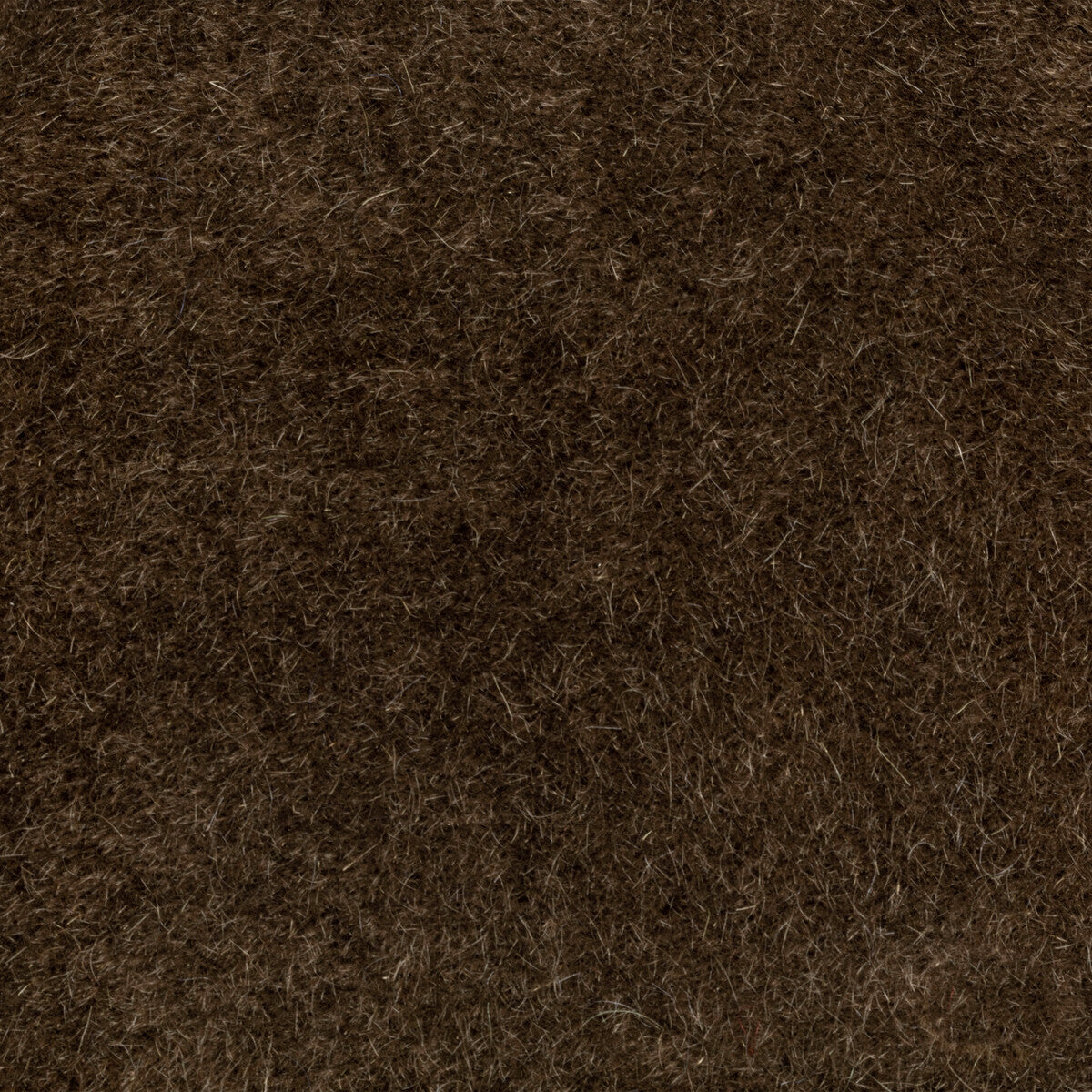 Versa fabric in grizzly color - pattern number 6021102.6.0 - by Donghia in the Donghia I collection