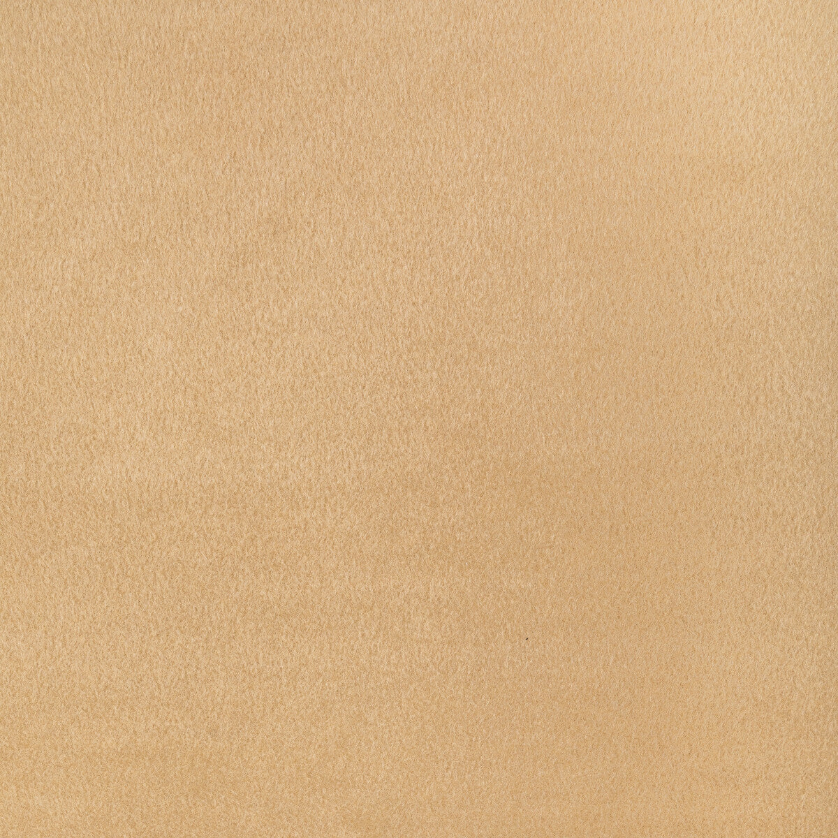 First In Line fabric in camel color - pattern number 6021107.16.0 - by Donghia in the Donghia II collection