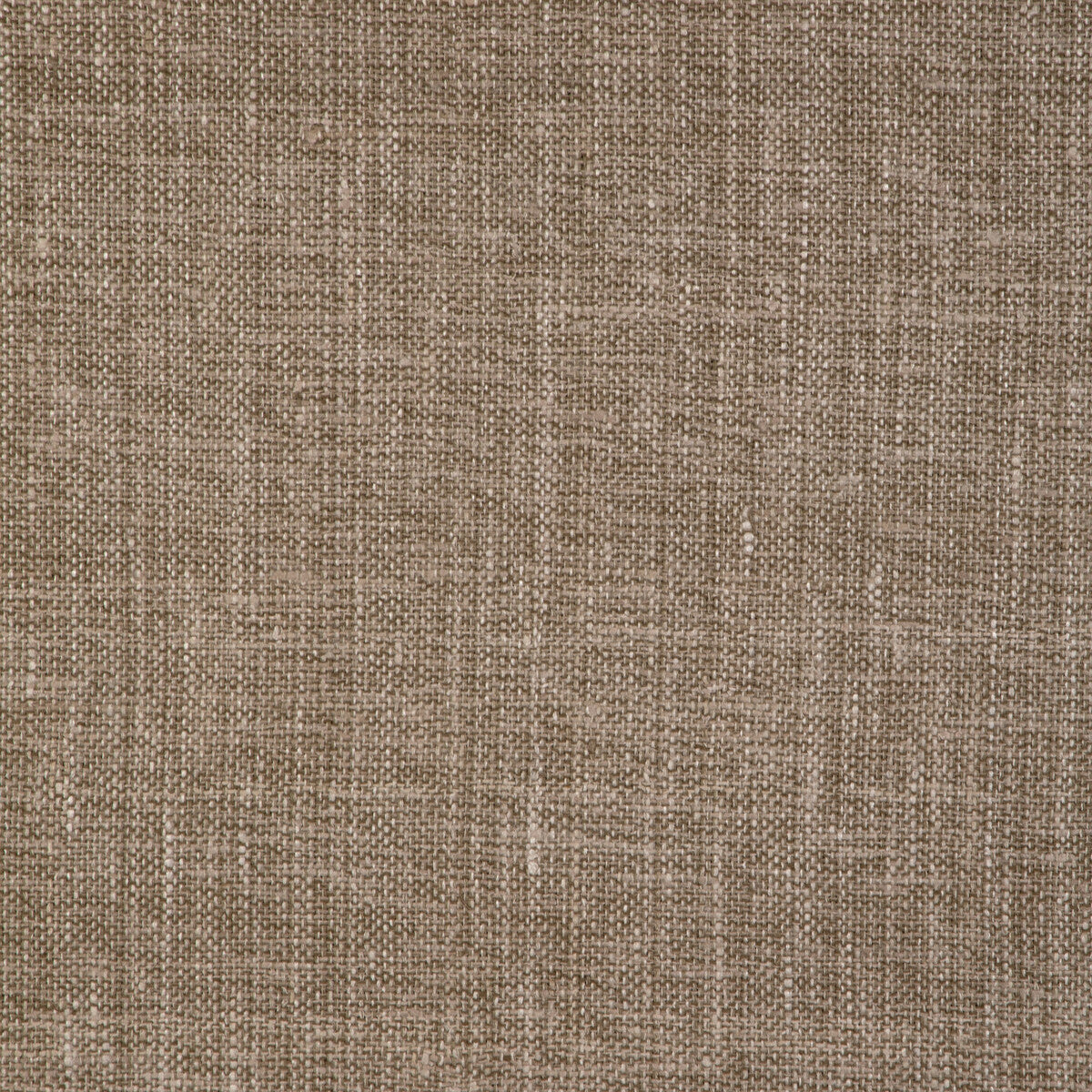 Hanging Around fabric in wheat color - pattern number 6022134.16.0 - by Donghia in the Donghia III collection