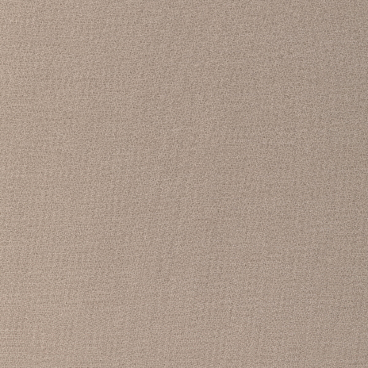 Sheepish fabric in camel color - pattern number 6022145.16.0 - by Donghia in the Donghia IV collection