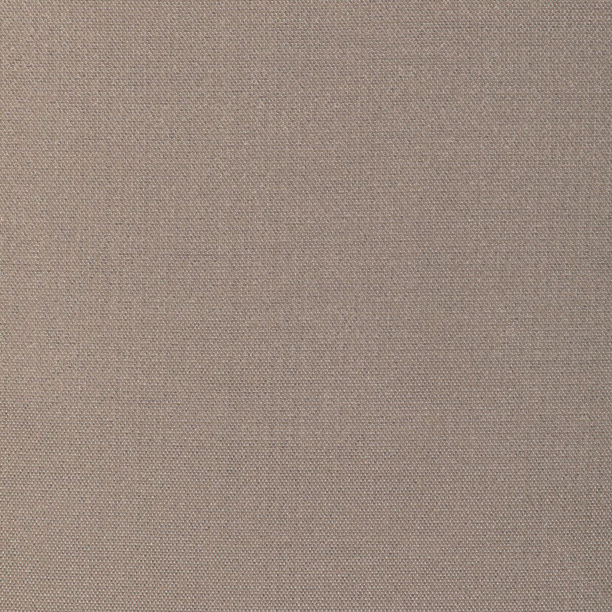 Formal Affair fabric in taupe color - pattern number 6022146.106.0 - by Donghia in the Donghia IV collection