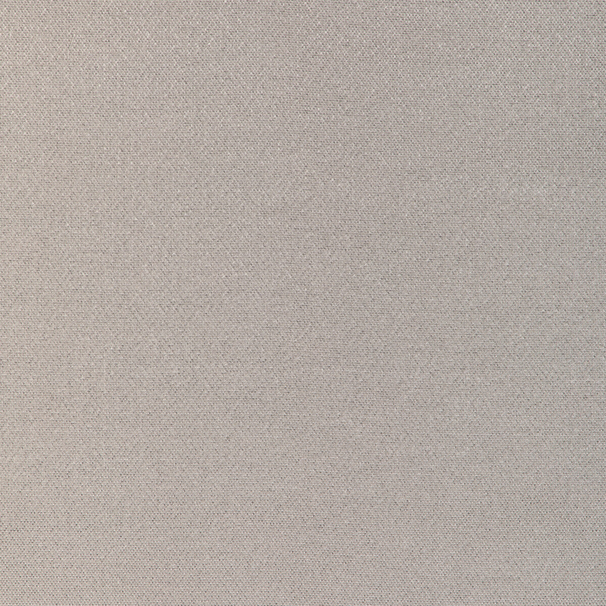 Formal Affair fabric in platinum color - pattern number 6022146.11.0 - by Donghia in the Donghia IV collection