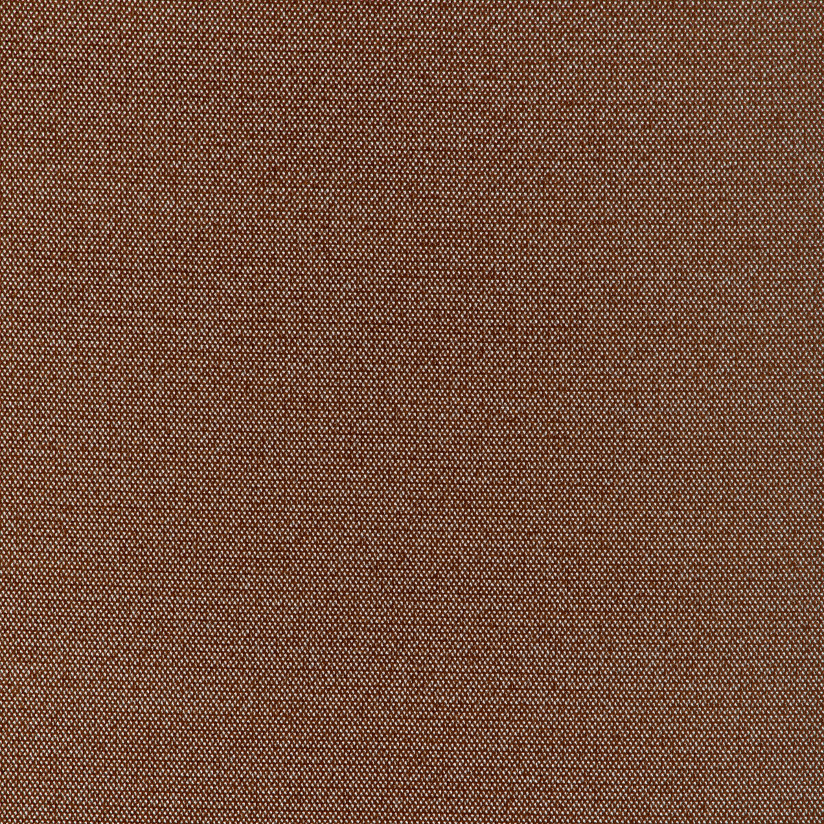 Formal Affair fabric in cinnamon color - pattern number 6022146.24.0 - by Donghia in the Donghia IV collection