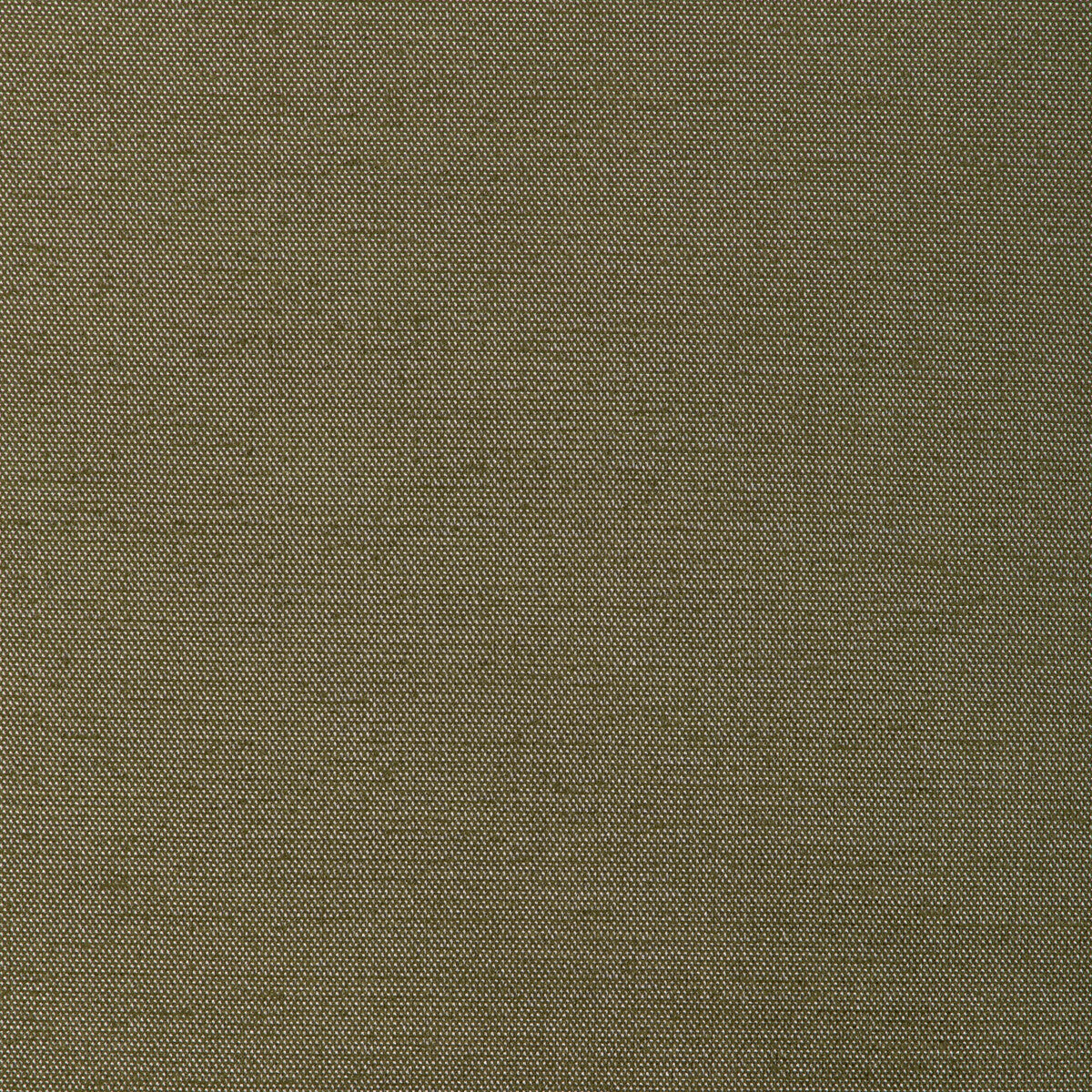Formal Affair fabric in fern color - pattern number 6022146.30.0 - by Donghia in the Donghia IV collection