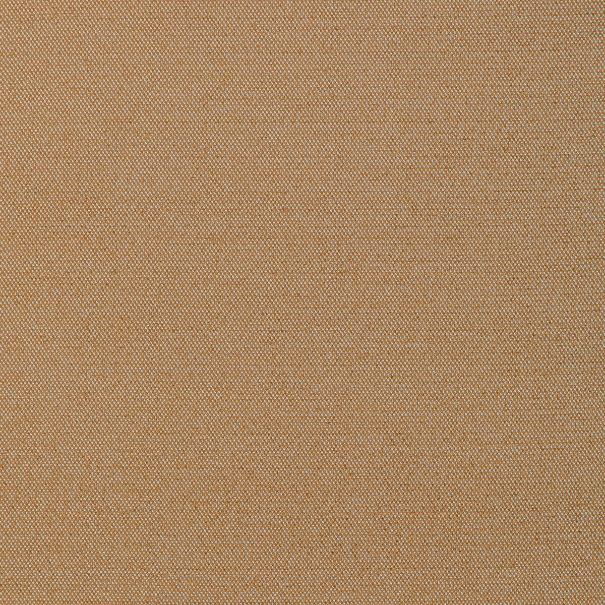 Formal Affair fabric in ochre color - pattern number 6022146.4.0 - by Donghia in the Donghia IV collection