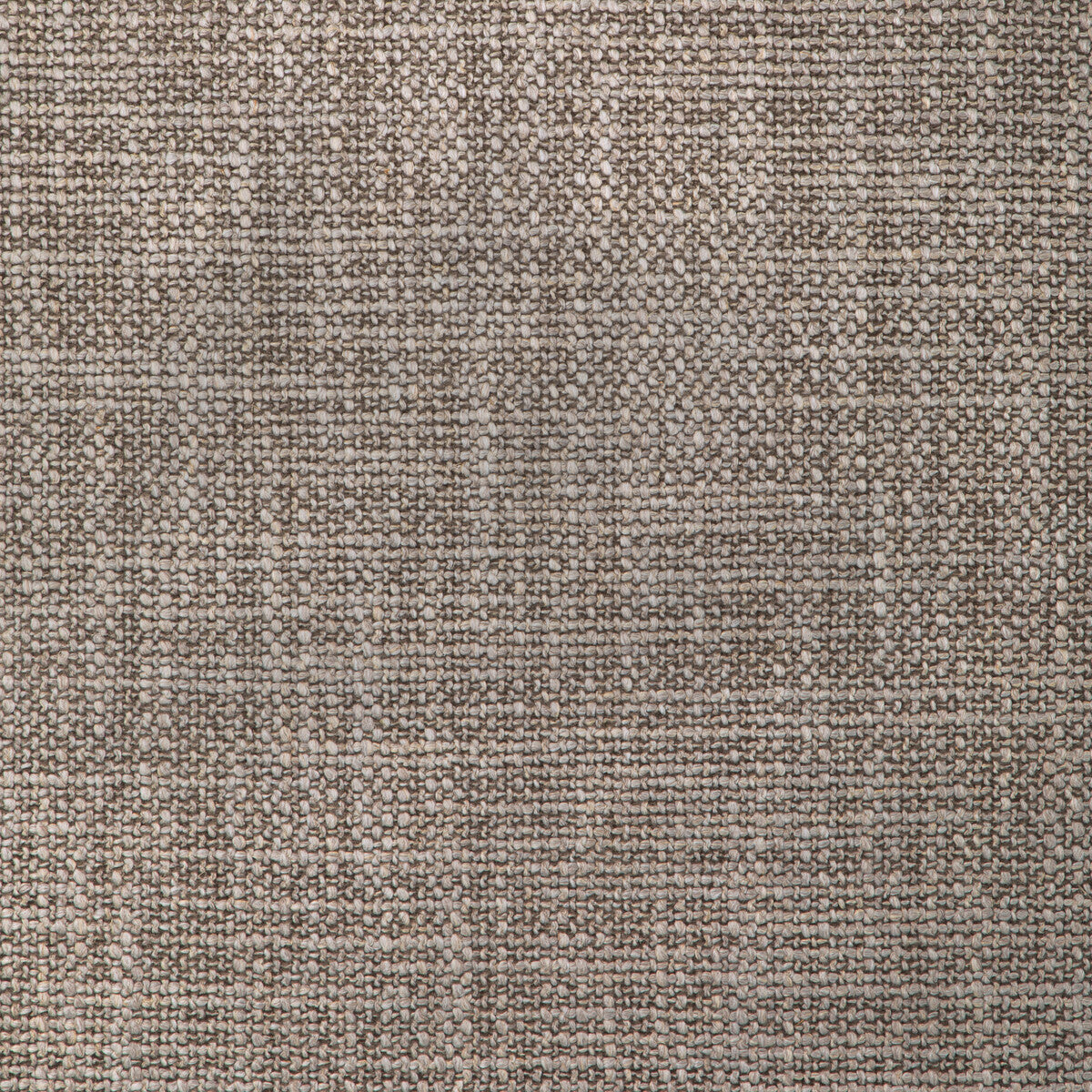 Bulrush fabric in dove color - pattern number 6024104.11.0 - by Donghia in the Zuri collection
