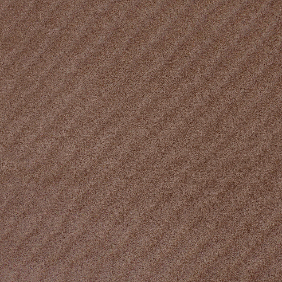 Moonlight fabric in taupe color - pattern number 6025113.106.0 - by Donghia in the Moonlight Silk Velvet collection