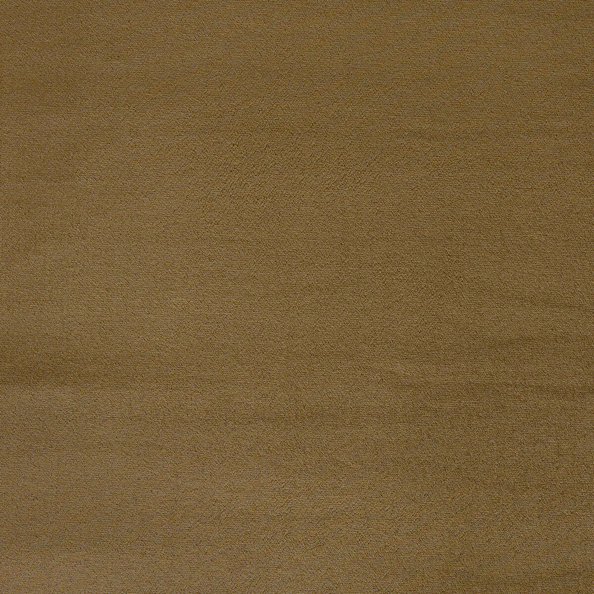 Moonlight fabric in olive color - pattern number 6025113.130.0 - by Donghia in the Moonlight Silk Velvet collection