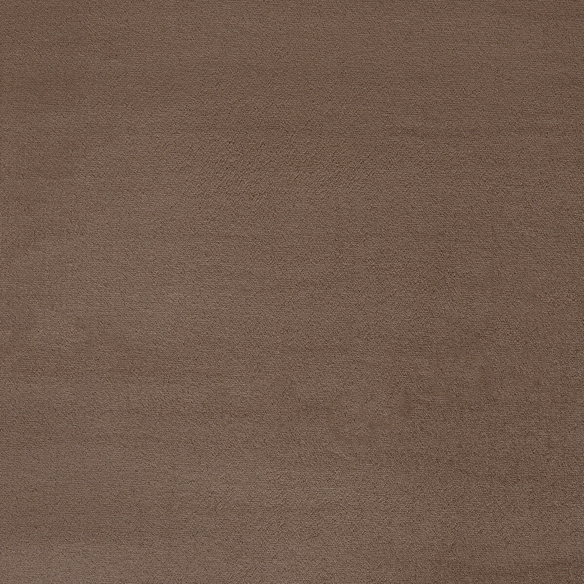 Moonlight fabric in fossil color - pattern number 6025113.1611.0 - by Donghia in the Moonlight Silk Velvet collection