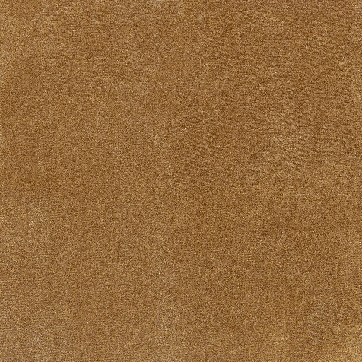 Moonlight fabric in wheat color - pattern number 6025113.1616.0 - by Donghia in the Moonlight Silk Velvet collection