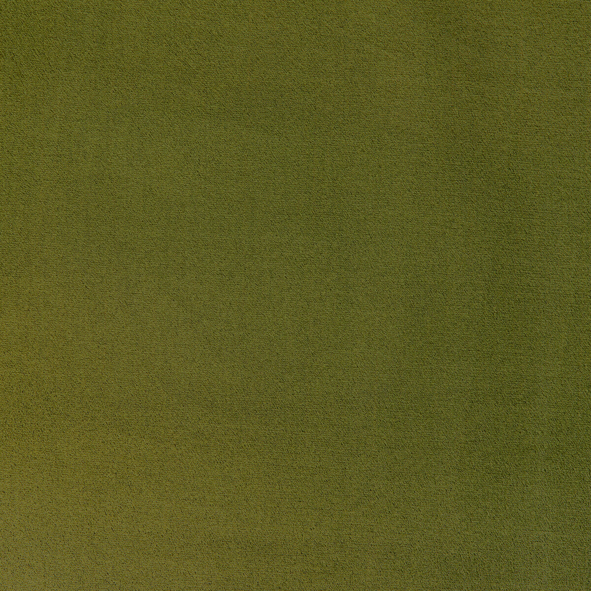 Moonlight fabric in meadow color - pattern number 6025113.3.0 - by Donghia in the Moonlight Silk Velvet collection
