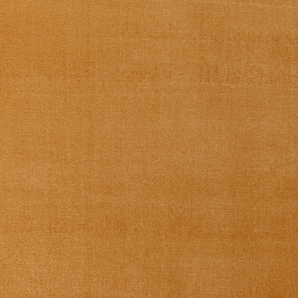 Moonlight fabric in gold color - pattern number 6025113.4.0 - by Donghia in the Moonlight Silk Velvet collection