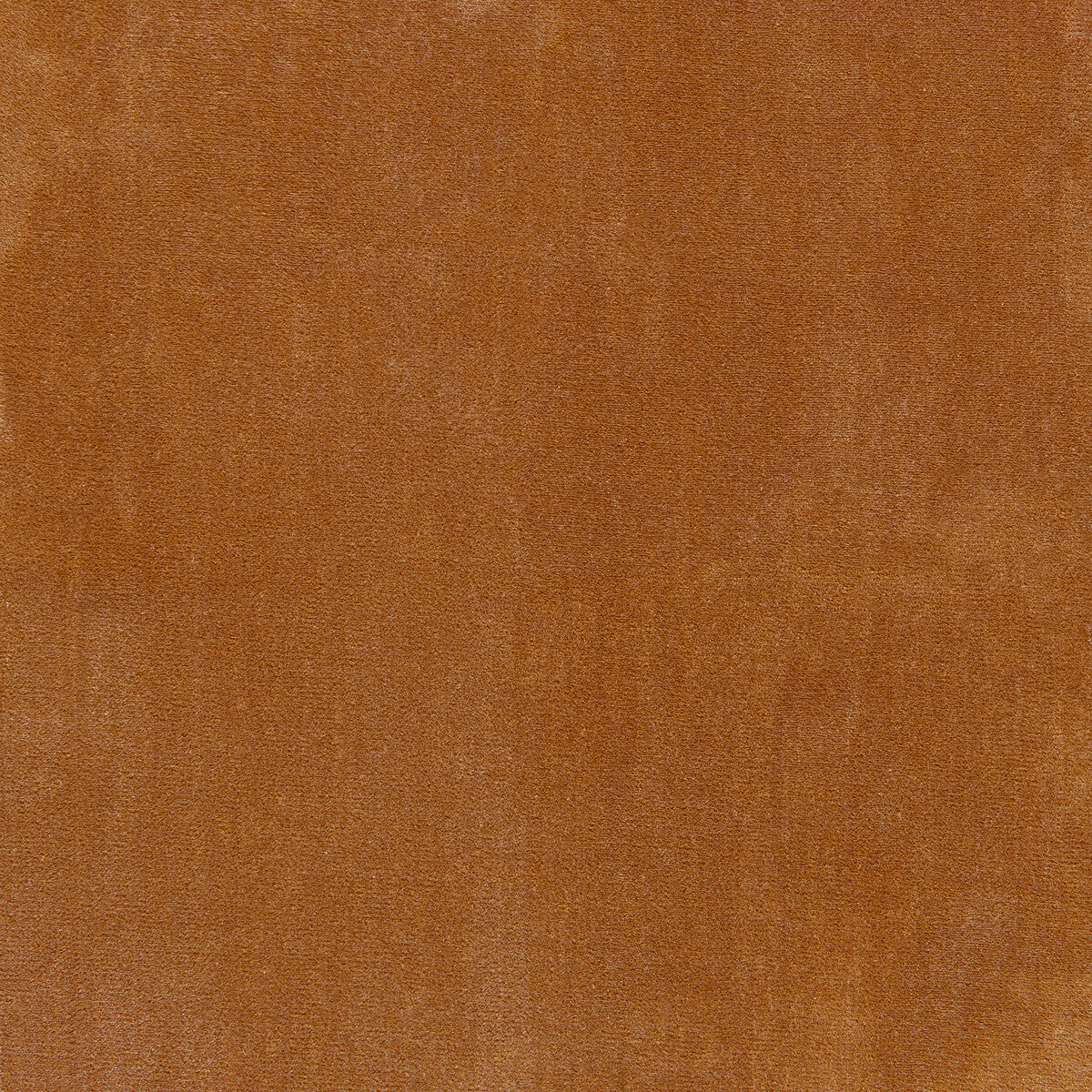 Moonlight fabric in camel color - pattern number 6025113.616.0 - by Donghia in the Moonlight Silk Velvet collection