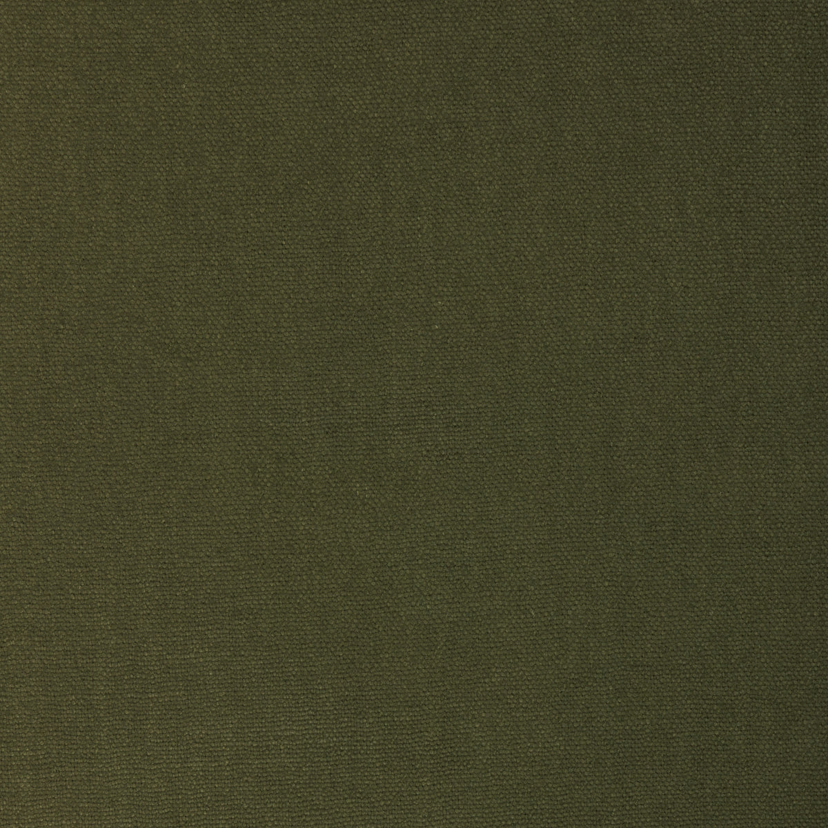 Connoisseur fabric in Artichoke color - pattern number 6026111.3.0 - by Donghia in the Ombre II collection