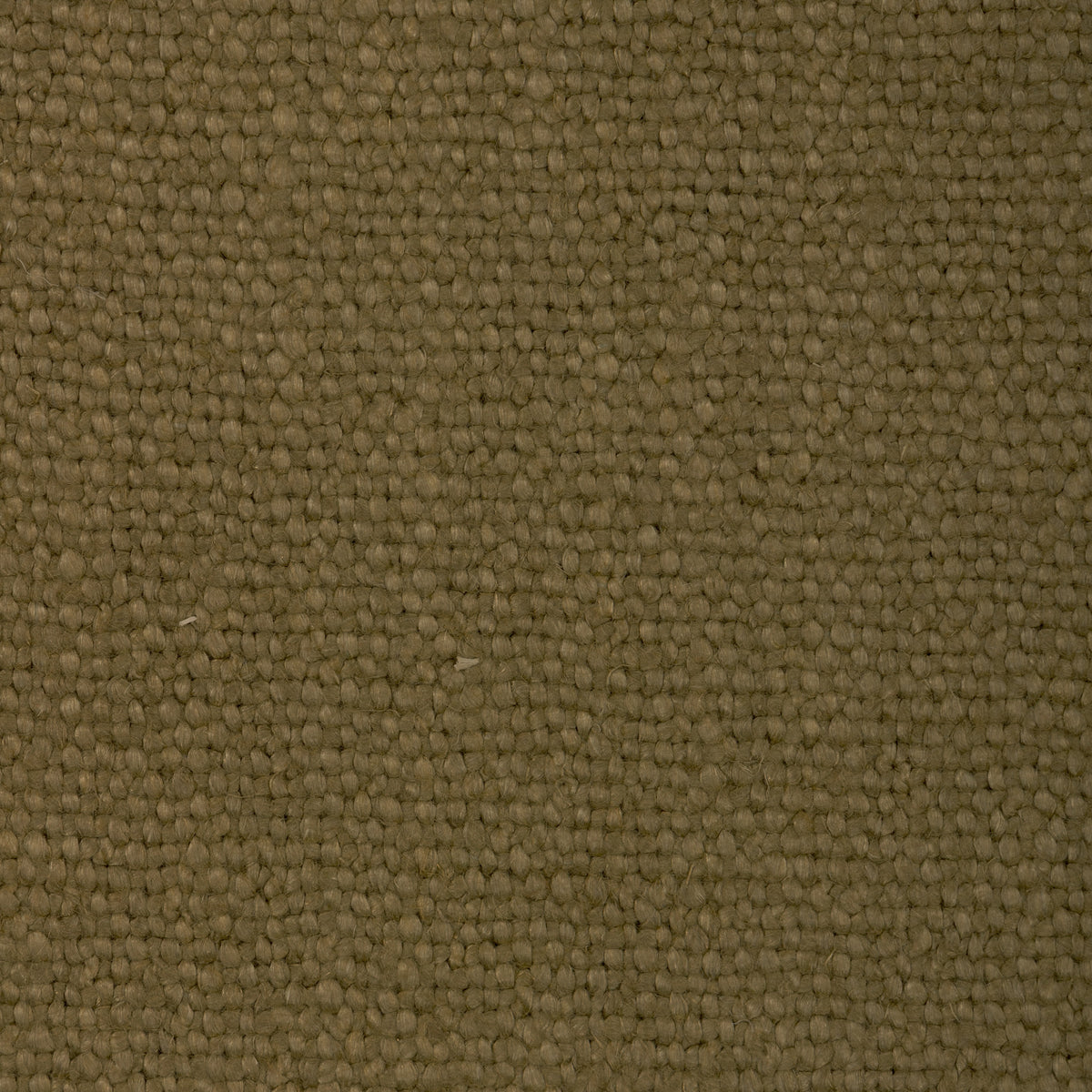 Connoisseur fabric in Olive color - pattern number 6026111.30.0 - by Donghia in the Ombre II collection