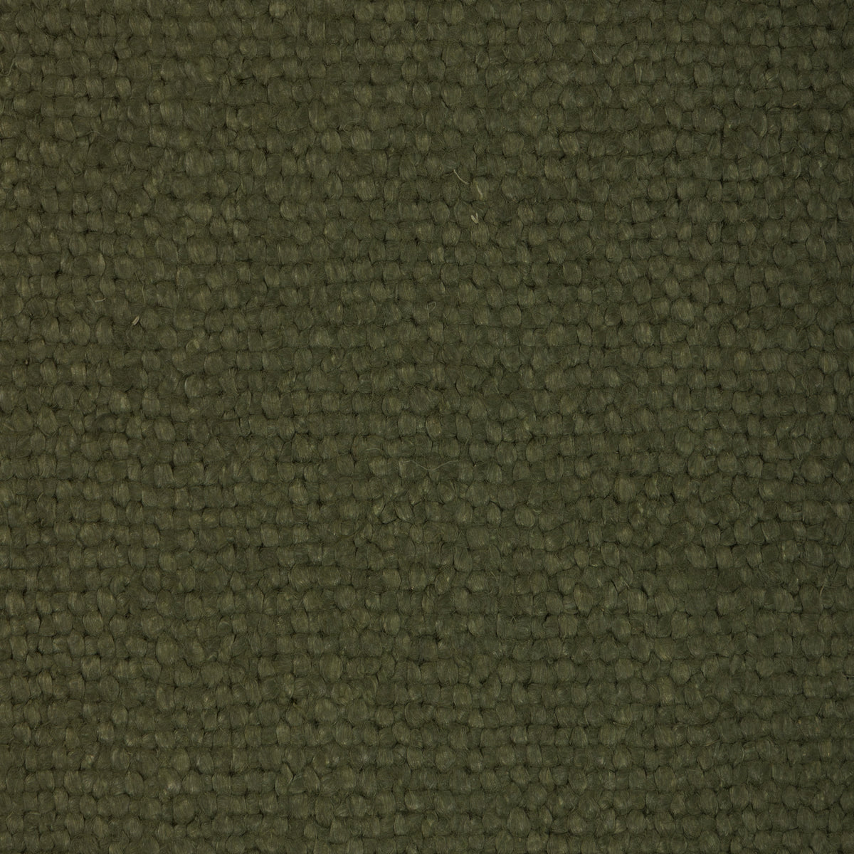 Connoisseur fabric in Artichoke color - pattern number 6026111.3.0 - by Donghia in the Ombre II collection