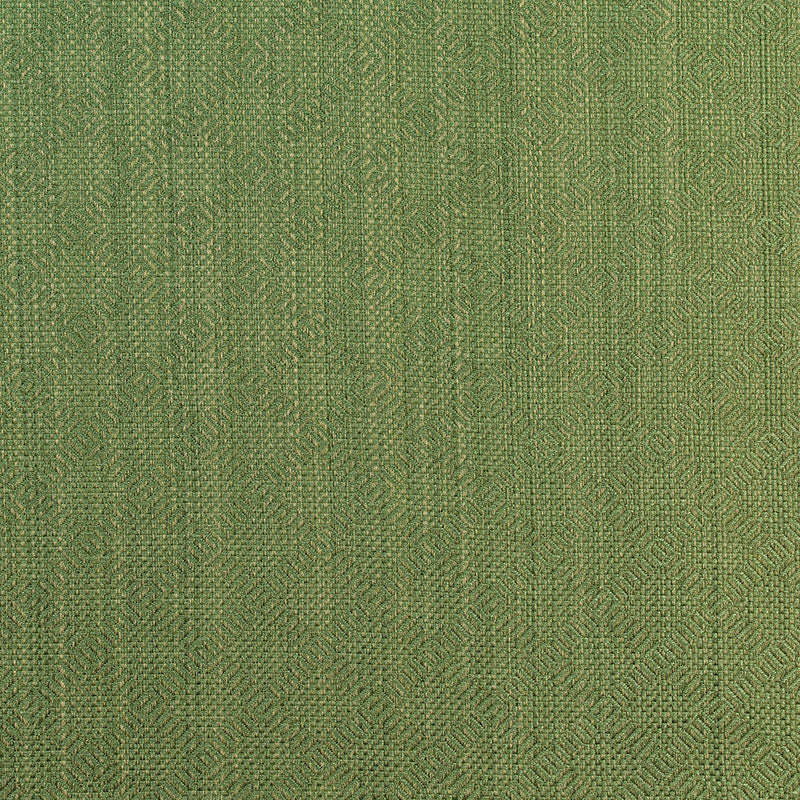 Villis Strie fabric in emerald color - pattern number 60302 - by Schumacher in the Chroma collection