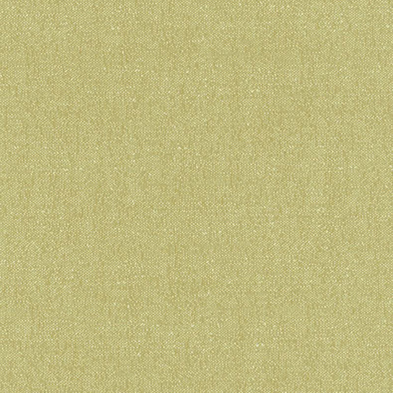 Stone Texture fabric in fern color - pattern number 62463 - by Schumacher in the By Nature collection