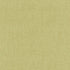 Stone Texture fabric in fern color - pattern number 62463 - by Schumacher in the By Nature collection