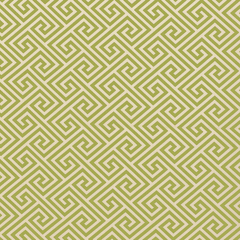 St Tropez Indoor Outdoor fabric in avocado color - pattern number 62904 - by Schumacher in the Plein Air collection