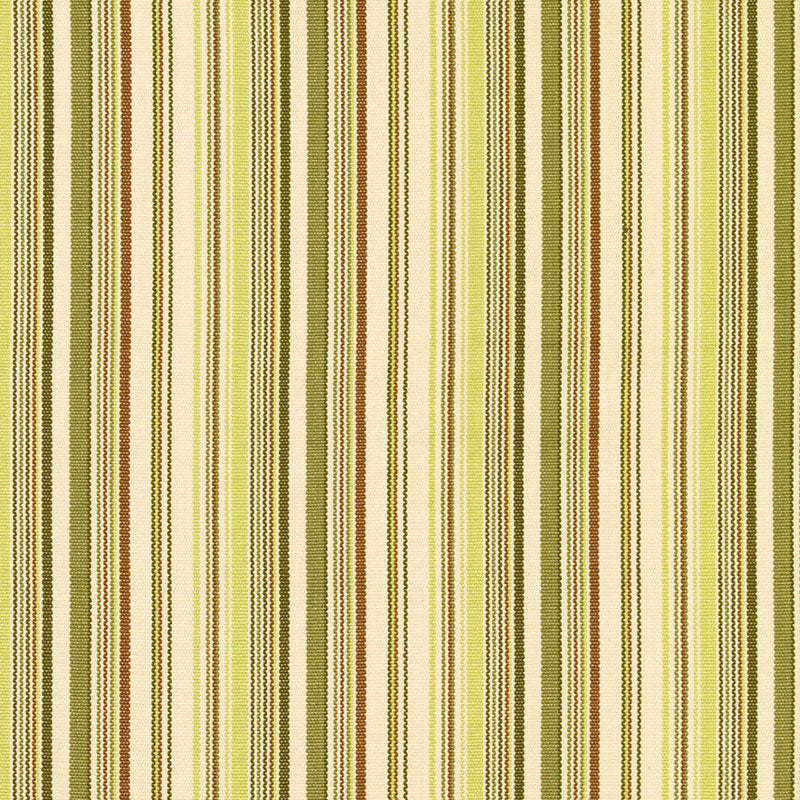 Malibu Stripe fabric in pear color - pattern number 63453 - by Schumacher in the Chroma collection