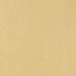 Tiepolo Shantung Weave fabric in champagne color - pattern number 63843 - by Schumacher in the Perfect Basics: Blends collection