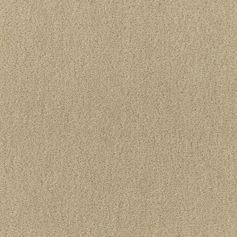 San Carlo Mohair Velvet fabric in pebble color - pattern number 64871 - by Schumacher in the Perfect Basics: Velvet collection