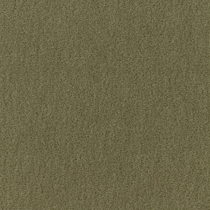 San Carlo Mohair Velvet fabric in moss color - pattern number 64894 - by Schumacher in the Perfect Basics: Velvet collection
