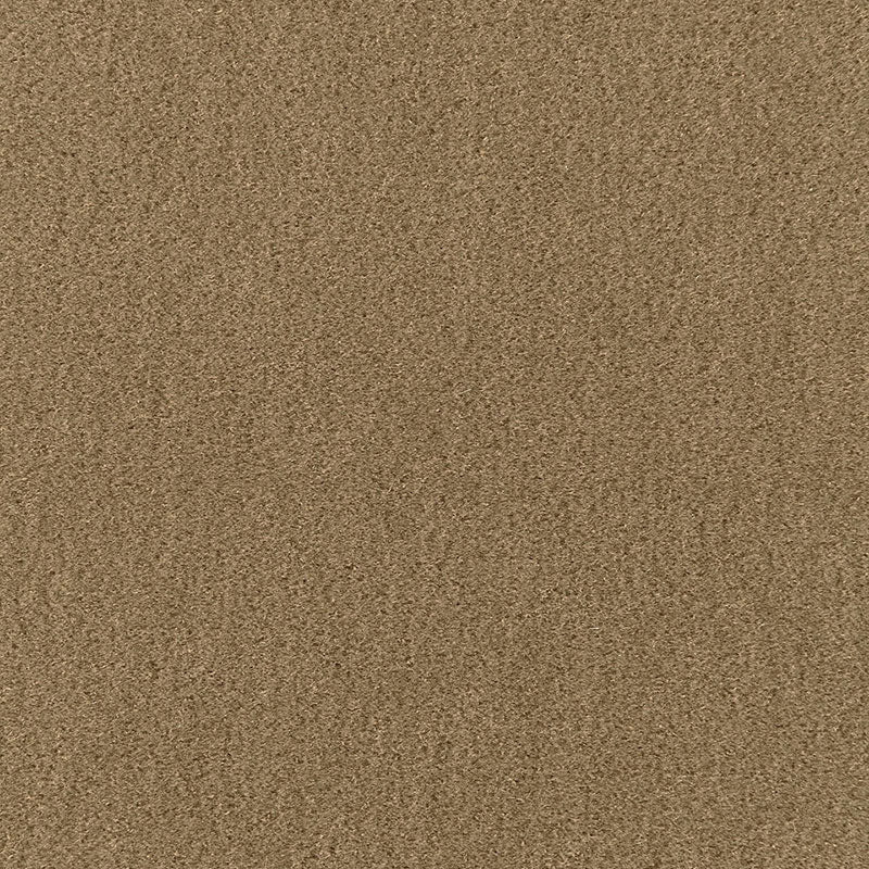 San Carlo Mohair Velvet fabric in herb color - pattern number 64895 - by Schumacher in the Perfect Basics: Velvet collection