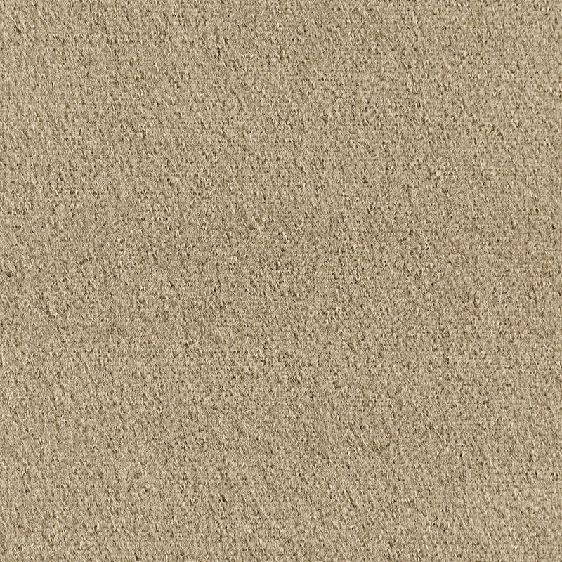 Palermo Mohair Velvet fabric in moonstone color - pattern number 64920 - by Schumacher in the Perfect Basics: Velvet collection