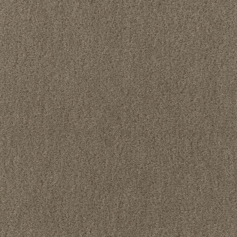Palermo Mohair Velvet fabric in thyme color - pattern number 64930 - by Schumacher in the Perfect Basics: Velvet collection