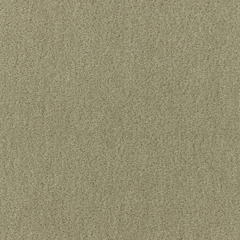 Palermo Mohair Velvet fabric in lichen color - pattern number 64931 - by Schumacher in the Perfect Basics: Velvet collection