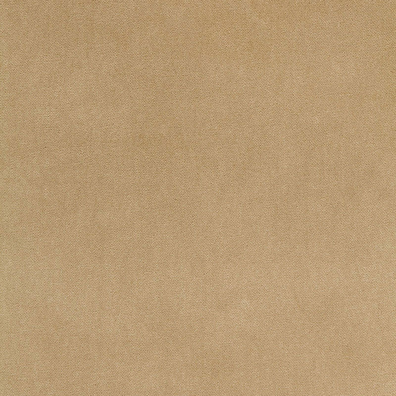 Bayeux Velvet fabric in putty color - pattern number 65311 - by Schumacher in the Perfect Basics: Velvet collection