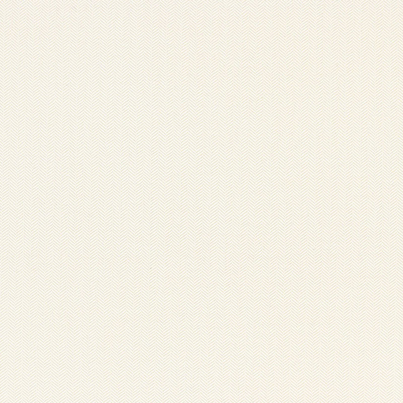 Paloma Herringbone fabric in coconut color - pattern number 65943 - by Schumacher in the Steel Magnolia collection