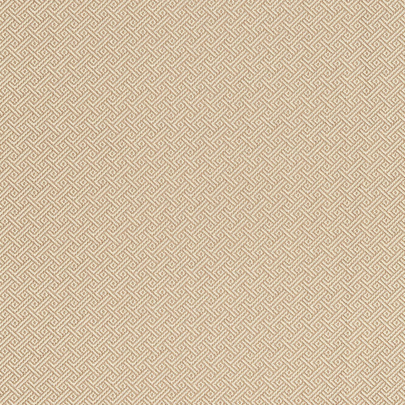 Picard Weave fabric in greige color - pattern number 66411 - by Schumacher in the Courtrai collection