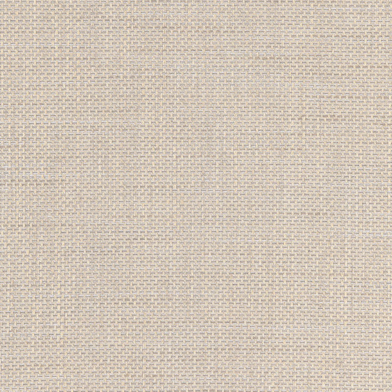 Chatelet Weave Indoor Outdoor fabric in zinc color - pattern number 66470 - by Schumacher in the Steel Magnolia collection