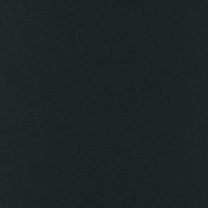 Aspen Cashmere fabric in raven color - pattern number 66803 - by Schumacher in the Luxe Lodge collection