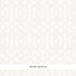 Imperial Trellis Sheer fabric in meringue color - pattern number 67720 - by Schumacher in the Firenze / Sheers collection