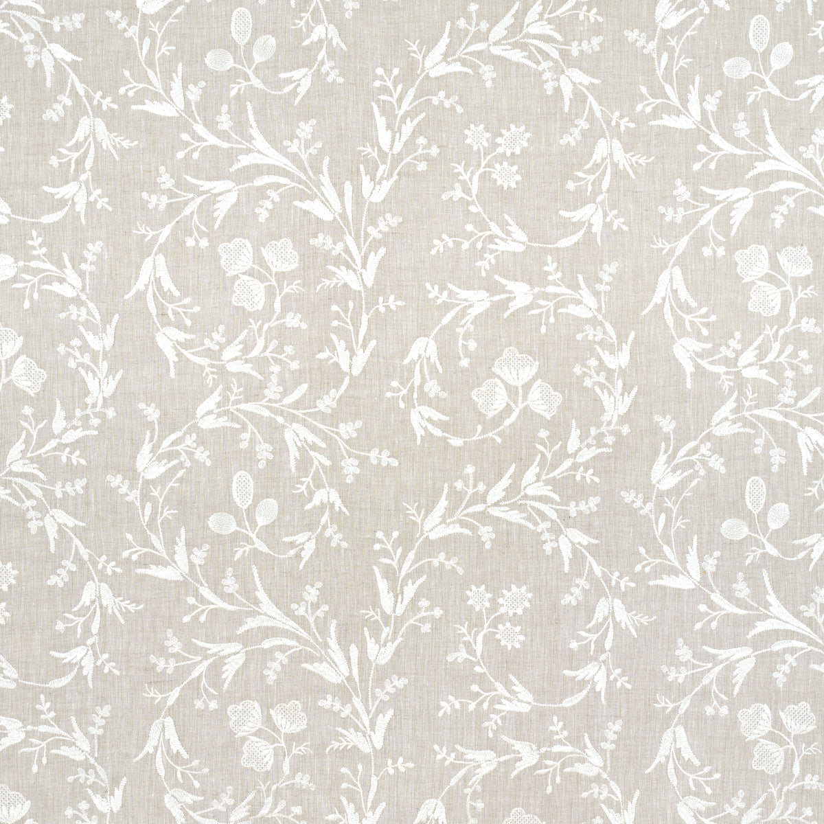 Fiorentina Embroidered Sheer fabric in oat color - pattern number 67821 - by Schumacher in the Essentials: Sheers &amp; Casements collection