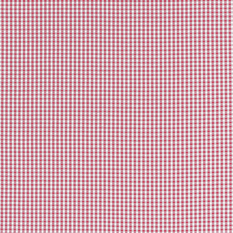 Aruba Check fabric in azalea color - pattern number 68044 - by Schumacher in the Calypso collection