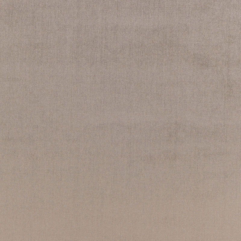 Sophia Velvet fabric in nickel color - pattern number 68163 - by Schumacher in the Perfect Basics: Velvet collection
